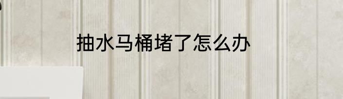 抽水马桶堵了怎么办