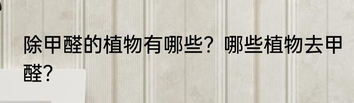 除甲醛的植物有哪些？哪些植物去甲醛？