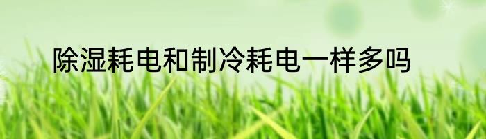 除湿耗电和制冷耗电一样多吗