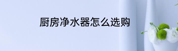 厨房净水器怎么选购