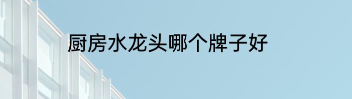 厨房水龙头哪个牌子好