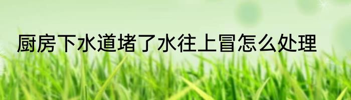 厨房下水道堵了水往上冒怎么处理