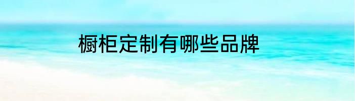 橱柜定制有哪些品牌