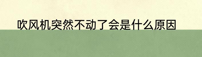 吹风机突然不动了会是什么原因
