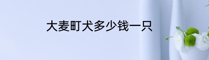 大麦町犬多少钱一只