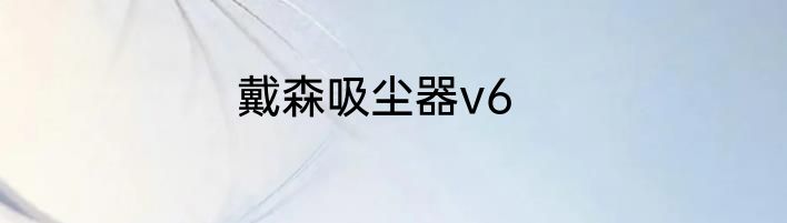 戴森吸尘器v6
