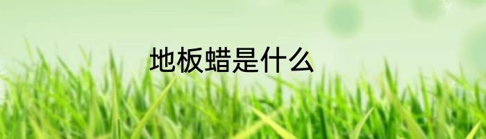 地板蜡是什么