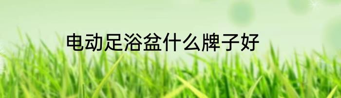 电动足浴盆什么牌子好
