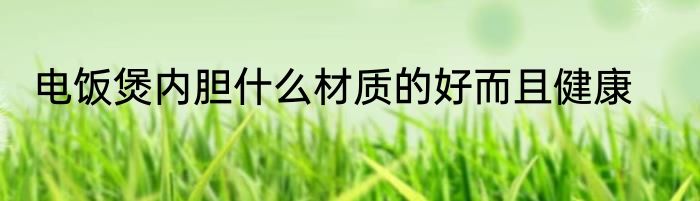 电饭煲内胆什么材质的好而且健康