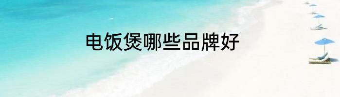 电饭煲哪些品牌好