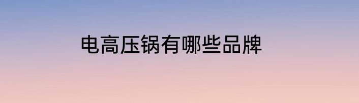 电高压锅有哪些品牌