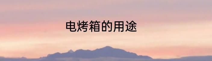 电烤箱的用途
