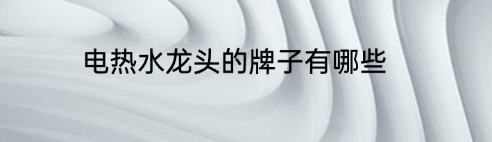 电热水龙头的牌子有哪些