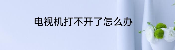 电视机打不开了怎么办
