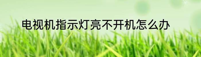电视机指示灯亮不开机怎么办
