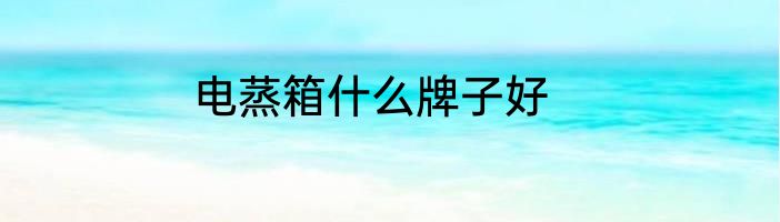 电蒸箱什么牌子好
