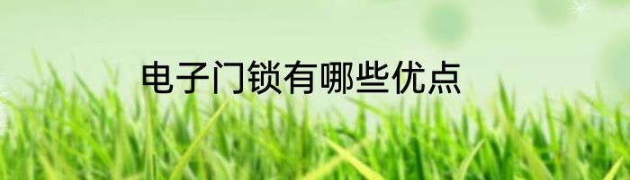 电子门锁有哪些优点