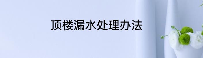 顶楼漏水处理办法