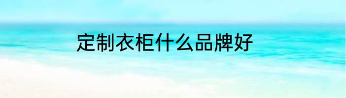定制衣柜什么品牌好