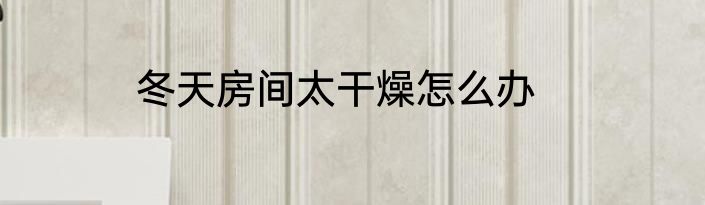 冬天房间太干燥怎么办
