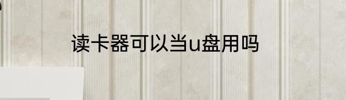 读卡器可以当u盘用吗