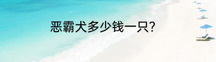 恶霸犬多少钱一只？