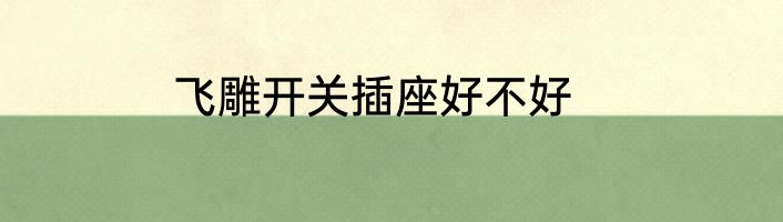 飞雕开关插座好不好