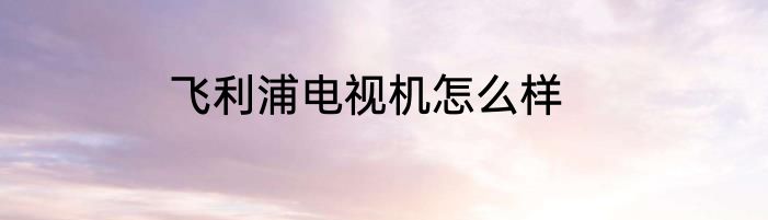飞利浦电视机怎么样