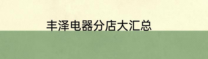 丰泽电器分店大汇总