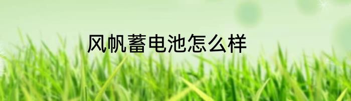 风帆蓄电池怎么样