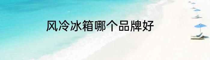 风冷冰箱哪个品牌好