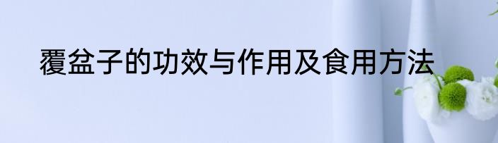 覆盆子的功效与作用及食用方法