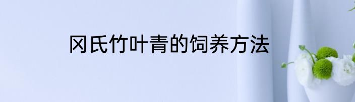 冈氏竹叶青的饲养方法