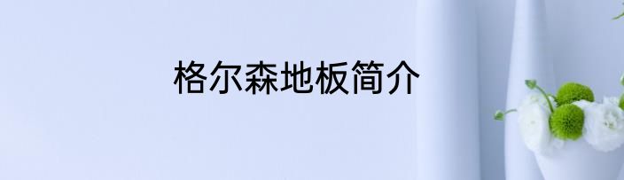格尔森地板简介