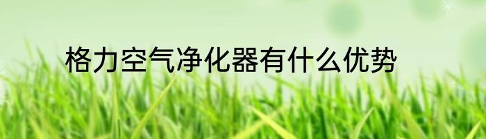 格力空气净化器有什么优势