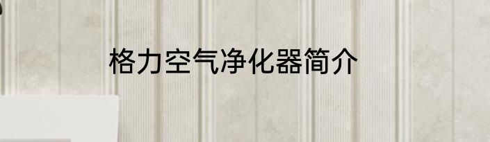格力空气净化器简介