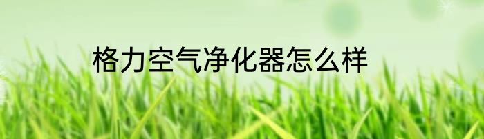 格力空气净化器怎么样