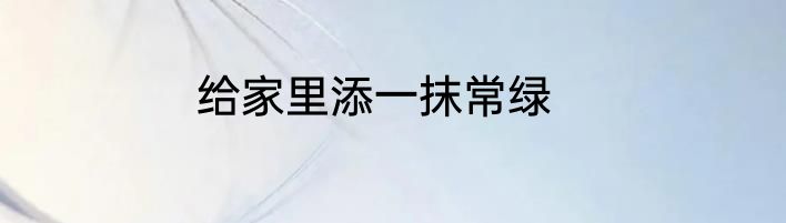 给家里添一抹常绿