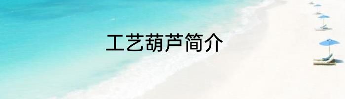 工艺葫芦简介