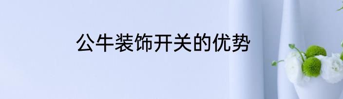 公牛装饰开关的优势