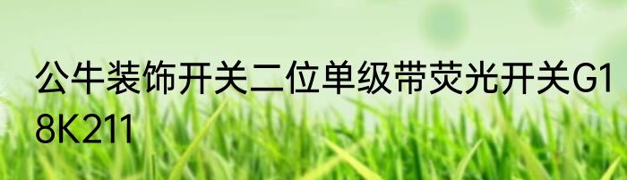 公牛装饰开关二位单级带荧光开关G18K211