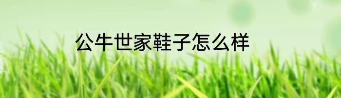 公牛世家鞋子怎么样