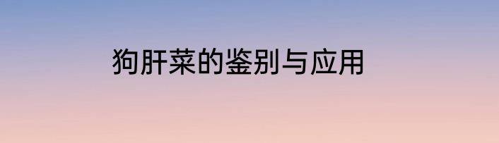 狗肝菜的鉴别与应用