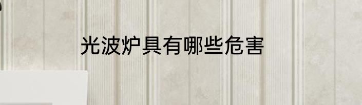 光波炉具有哪些危害