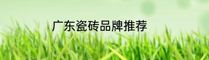 广东瓷砖品牌推荐