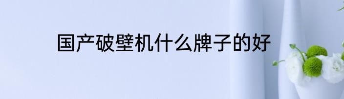 国产破壁机什么牌子的好