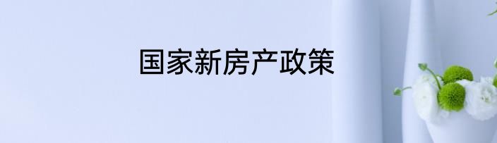 国家新房产政策