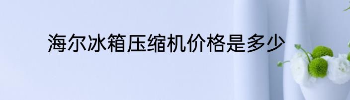 海尔冰箱压缩机价格是多少