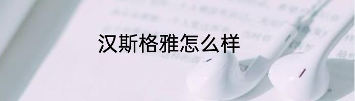 汉斯格雅怎么样