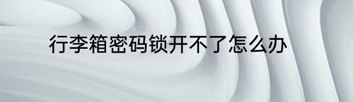 行李箱密码锁开不了怎么办